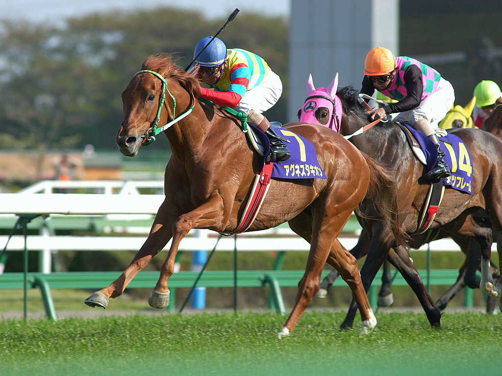 幻の三冠馬と呼ばれる名馬 5選 まったりおっさんのナマケモノライフ